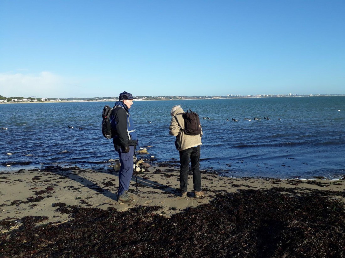 23dbe976-672e-4579-9615-9011a73f0da1