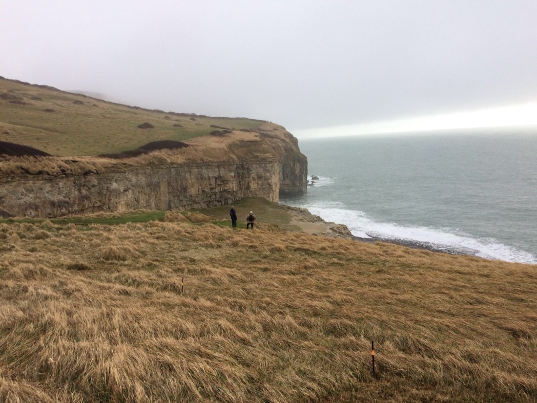 2757a380-da19-41c3-8758-a97a8884788f