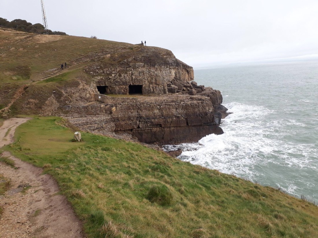 c7e3d8d2-de45-4a10-8bce-30949c02046b-1