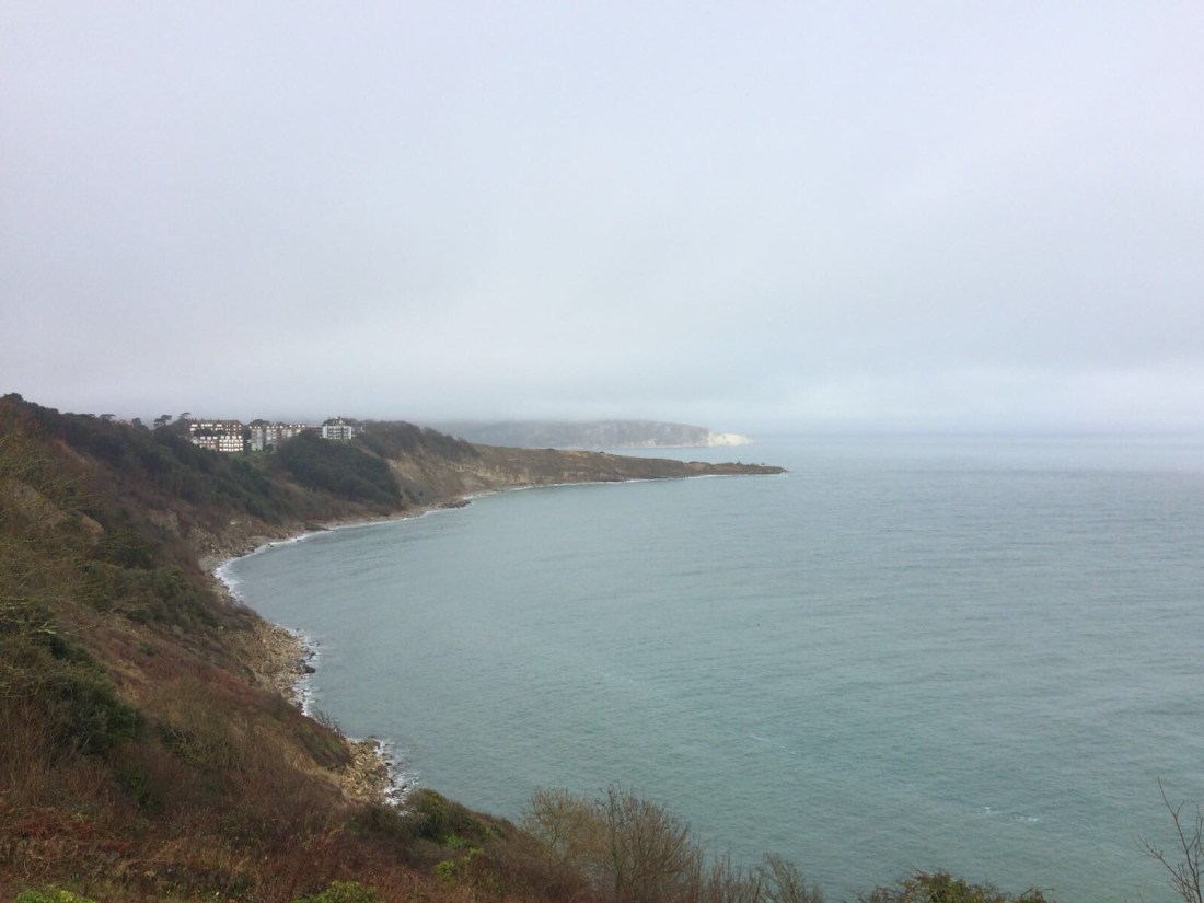 d3d39556-a35a-4af2-86b7-e3443c1b9503